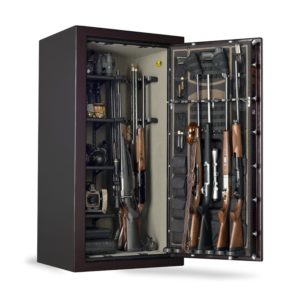 Best rated Gun Safe for the money