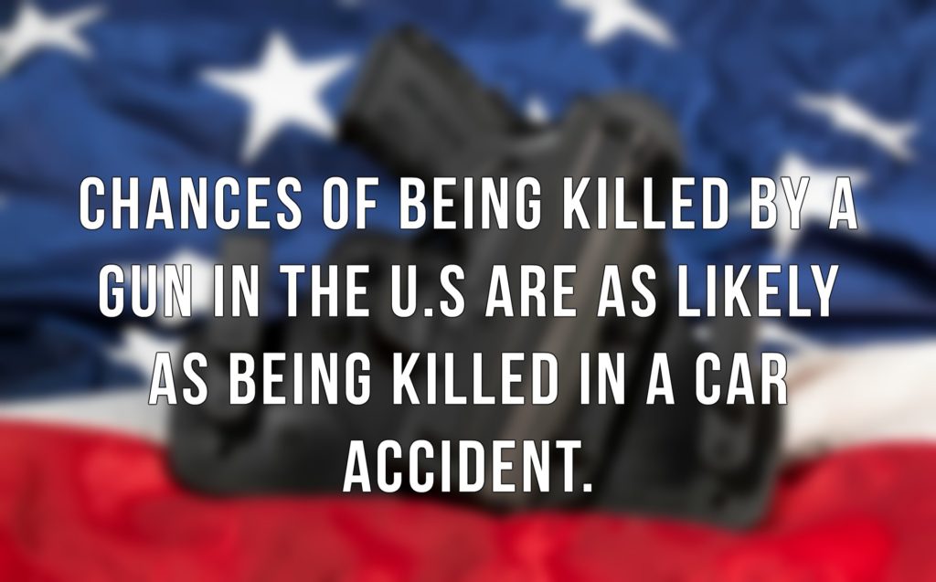 The gun safe facts